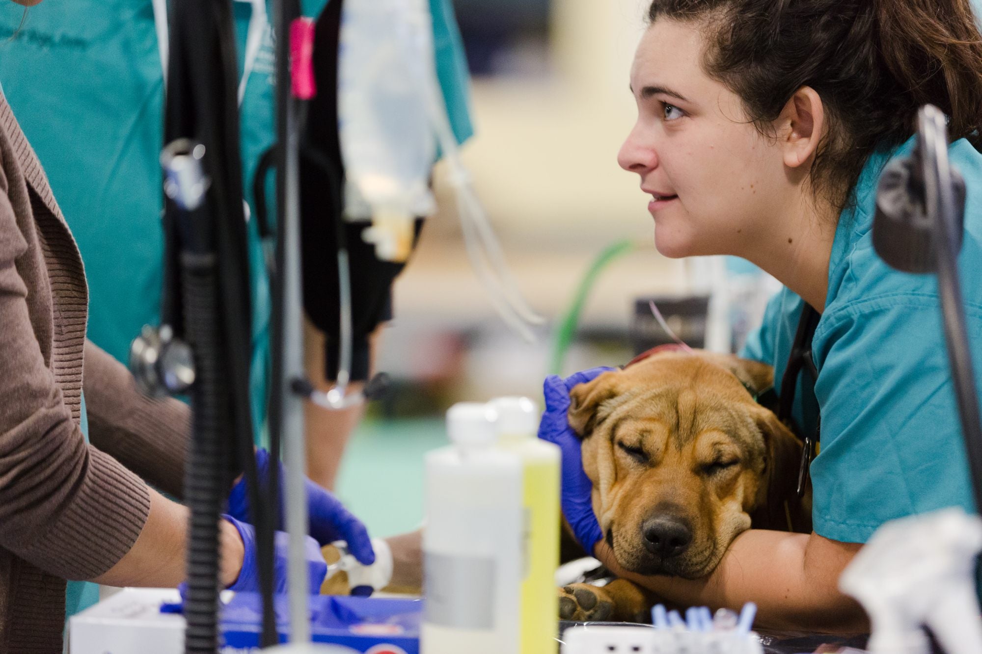 Veterinary clinic