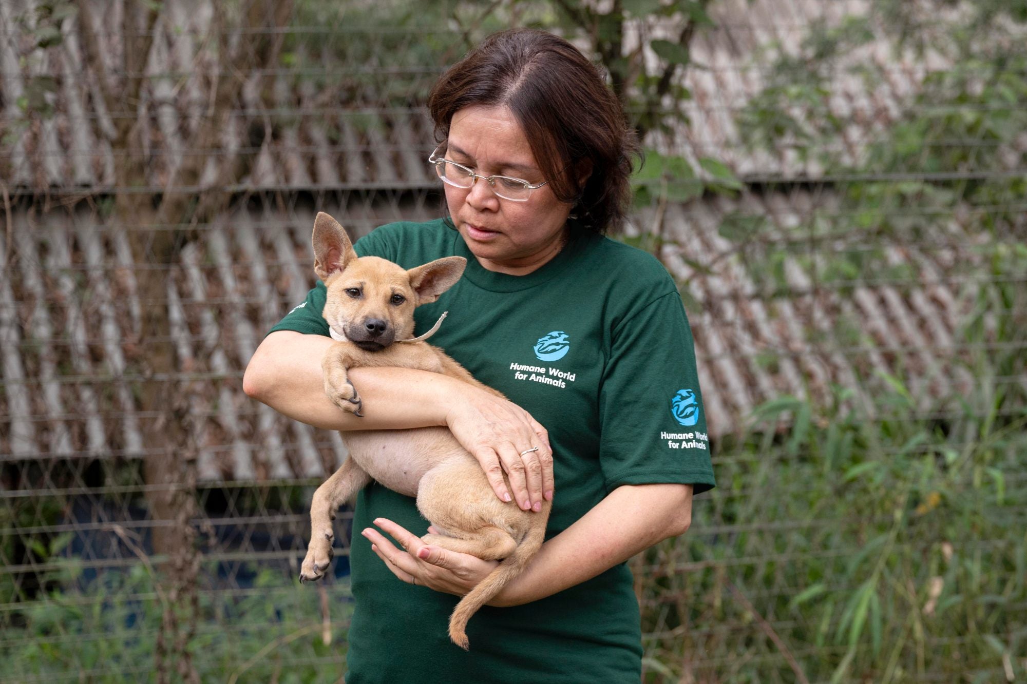 Holding a dog