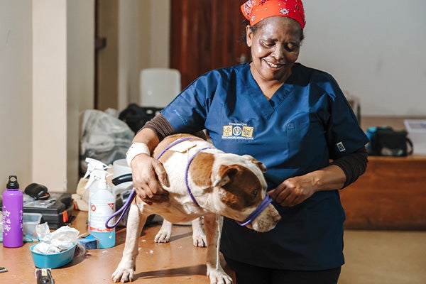 A vet with a dog at a sterithon event