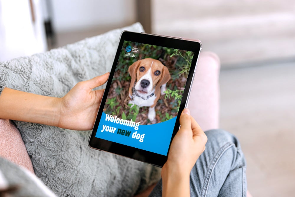 Happy new dog owner reading free e-book with essential tips for new dog owners