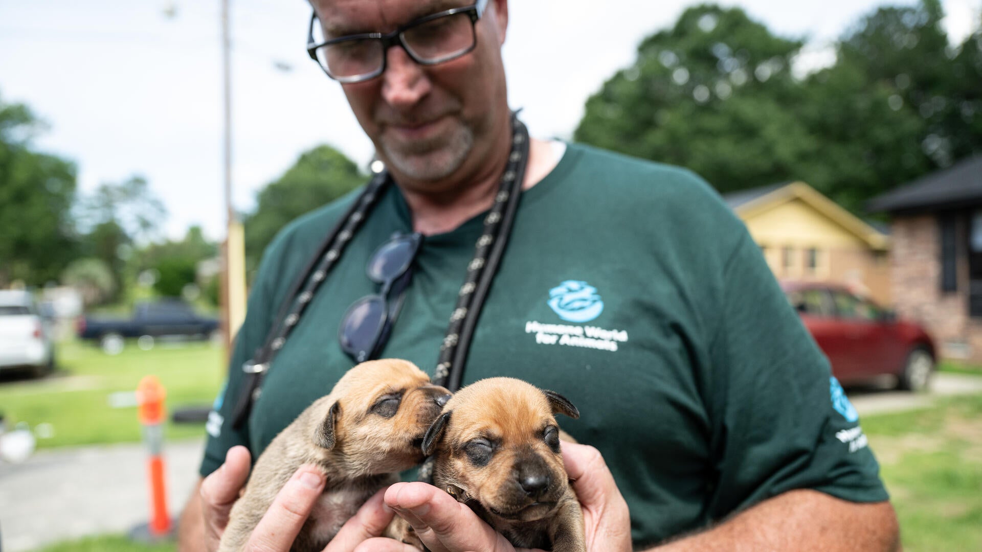 Man holding puppies