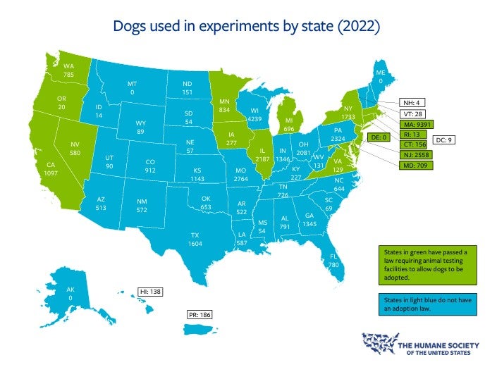 Number of dogs used in experiments by state (2022)