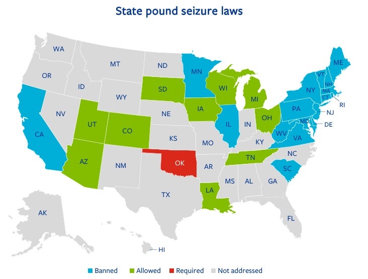 Chart of state pound seizure 2022