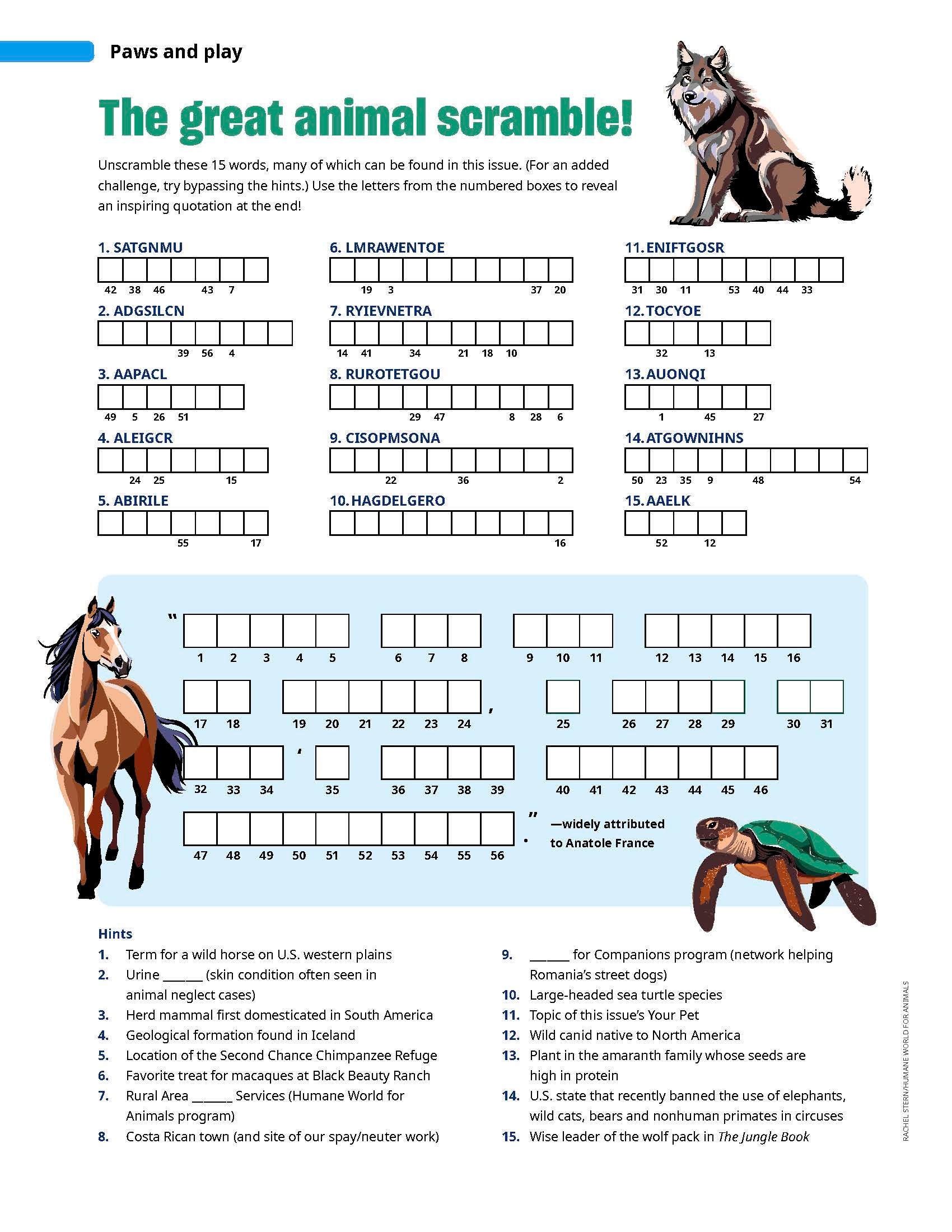Image of the word scramble puzzle from the Fall '25 issue of All Animals