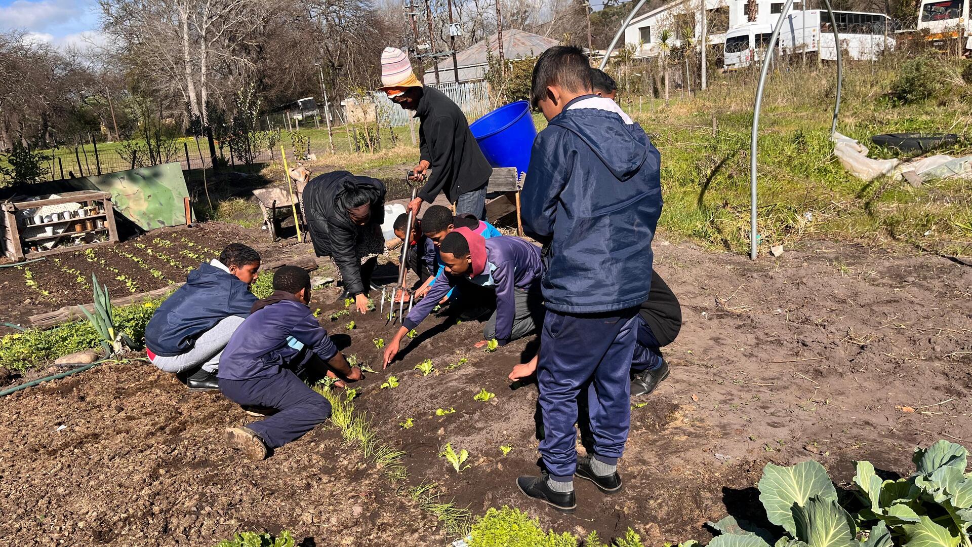 a group of people planting plants