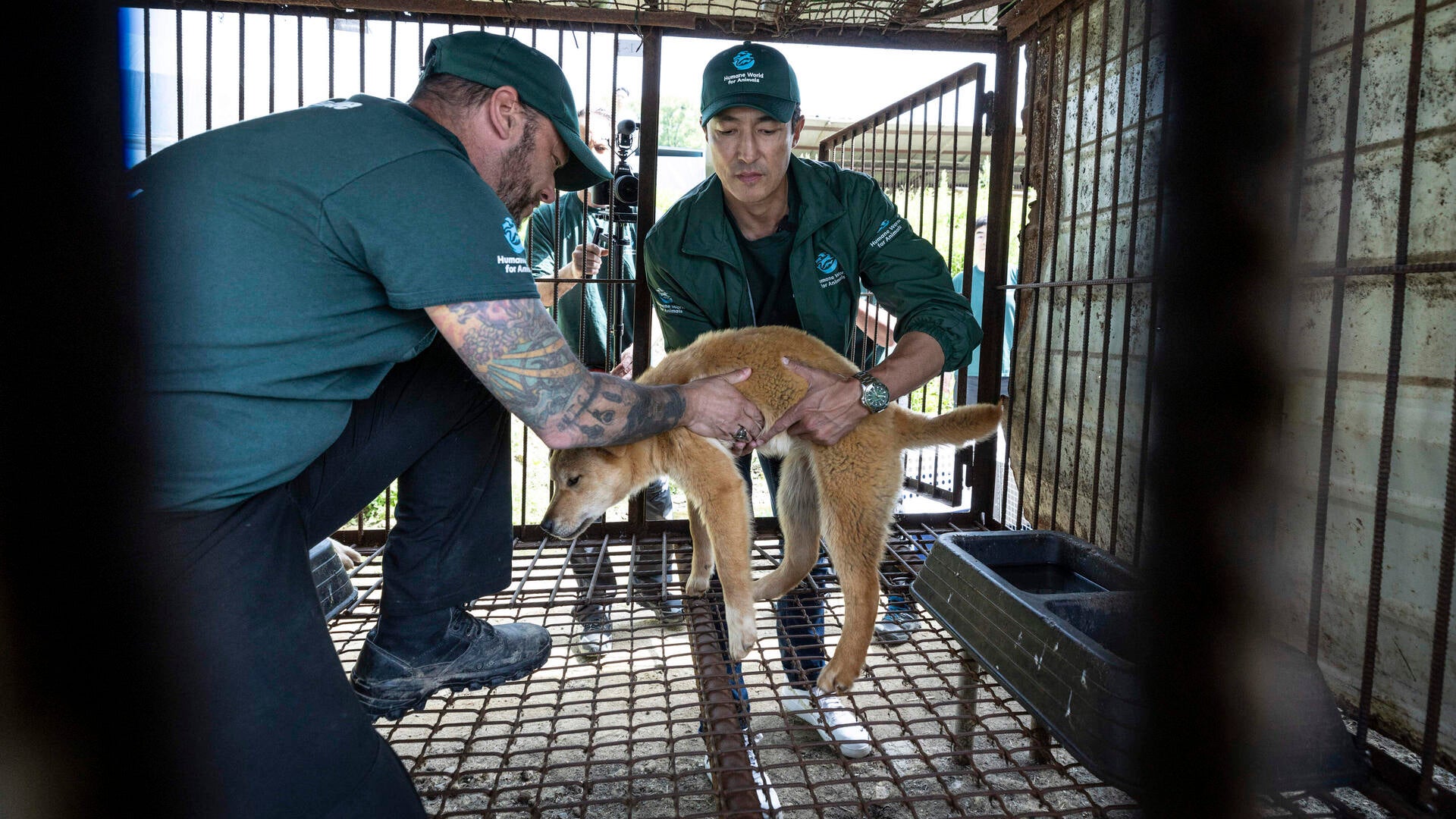 A couple of men with a dog