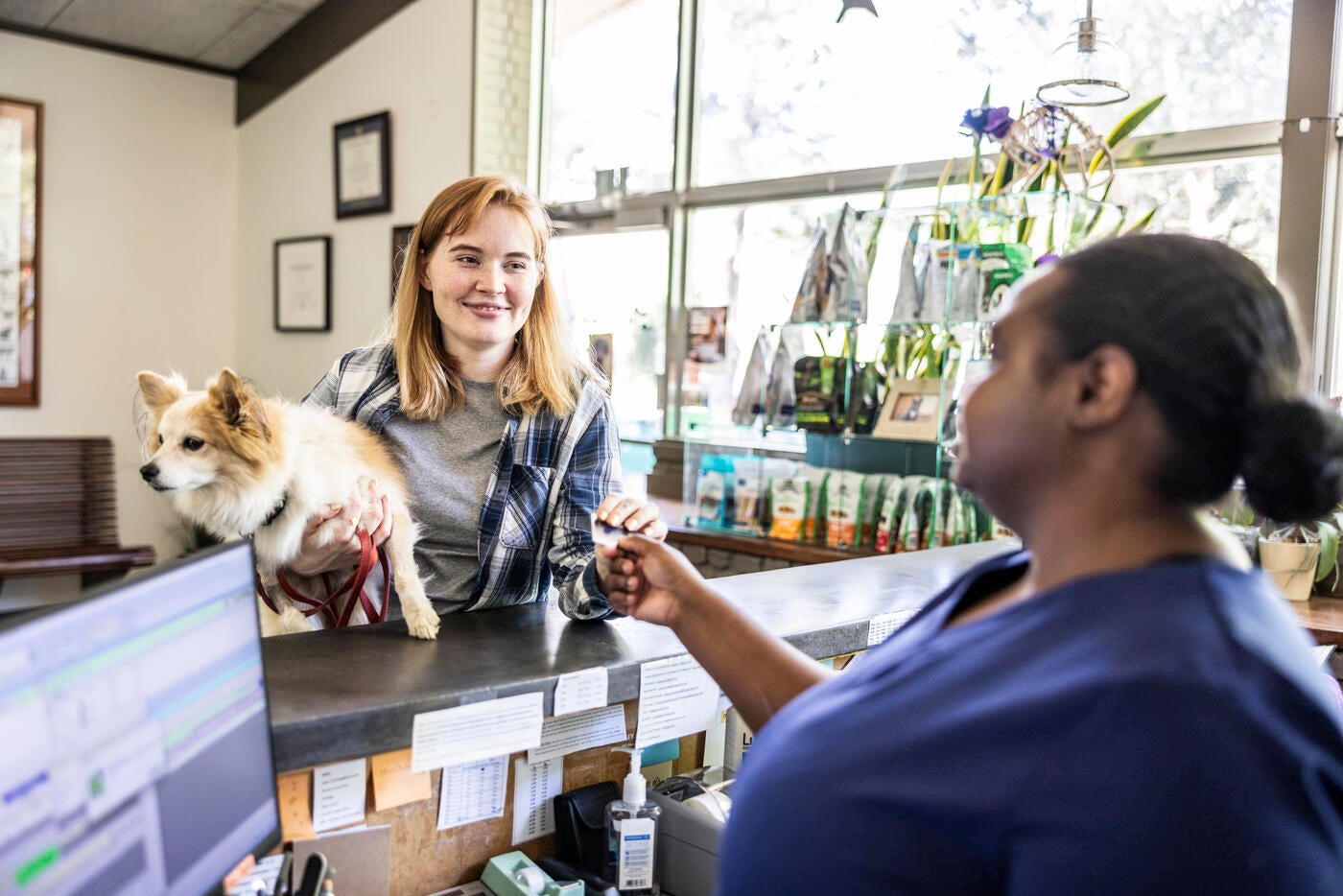 Young woman with small dog paying for veterinary services at veterinarian's office front desk