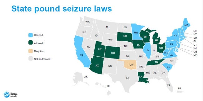 2024 state pound seizure laws