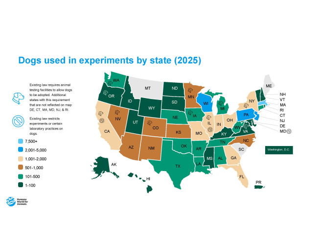 Dogs used in experiments by state 2025