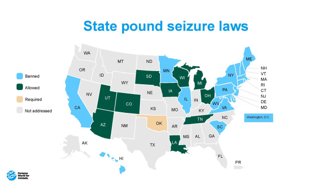 State pound seizure laws Aug 2026