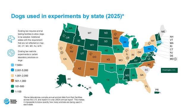 Dog experiments map data 2025