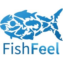 Fish Feel logo