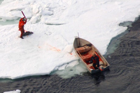 A Canadian sealing boat