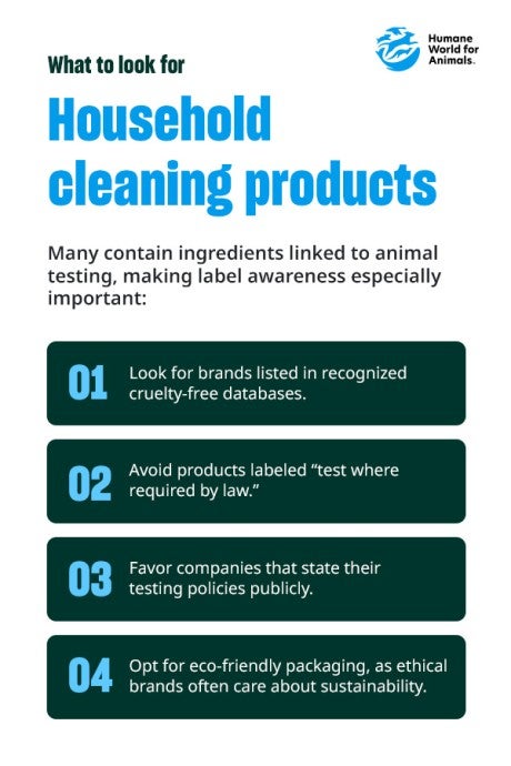 Graphic outlining 4 things to look for in cruelty household cleaning products