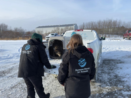 Helping after Alaska flooding