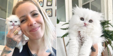 A before and after shot of Chouchou the cat, with Hannah Shaw the Kitten Lady. 