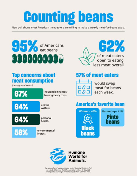 Beansday infographic