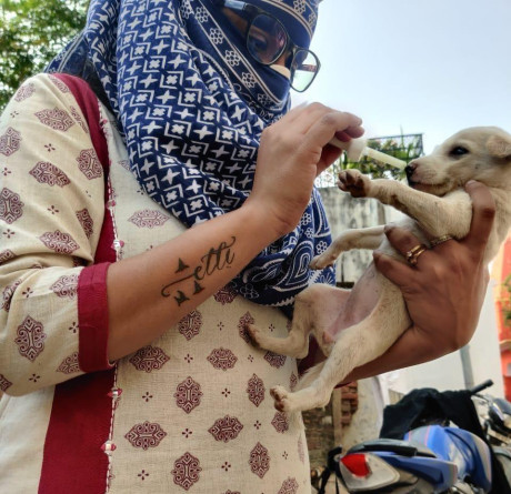 A person holding a small puppy.