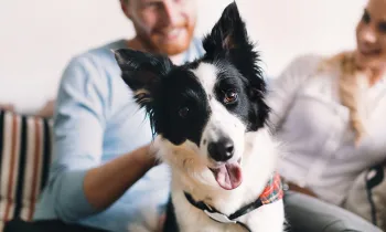man and woman on the couch with their dog