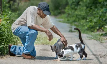 Man visits with some neighborhood kitties.