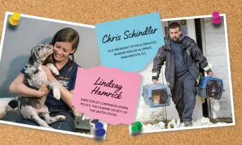Photos of Chris Schindler and Lindsay Hamrick tacked onto a cork board.