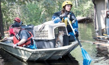 Emergency response team on a boat with rescued cats in a crate.
