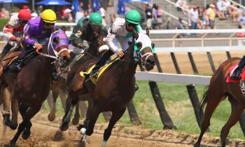 Race horses running on track