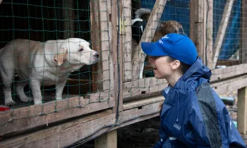 HSUS staff with a dog being rescued from a large-scale alleged severe neglect case in Florida