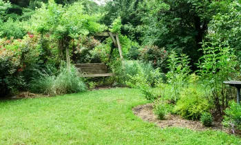 humane backyard with a bench and birdbath