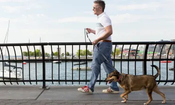 Man walking dog on bridge