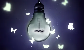 Photo illustration of a dim light bulb with illustrated butterflies