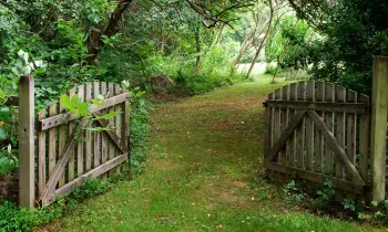 open gate leading into a lush green garden
