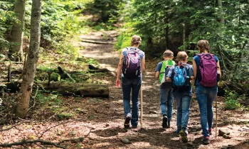 Mother and three kids on a nature walk