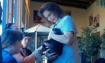 A distressed young otter screams continuously as he is forced to endure public handling during one of Tiger Safari Zoo's 4 x daily "VIP Encounters."