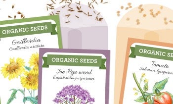 native seed packets