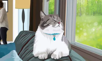 Illustration of a busy family home with a relaxed cat in the foreground