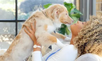 A woman holds her puppy up to cuddle with him