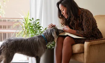 A shy dog approaches a woman who comforts him