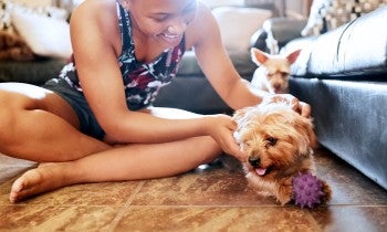 A woman plays with her yorkie dog on the floor