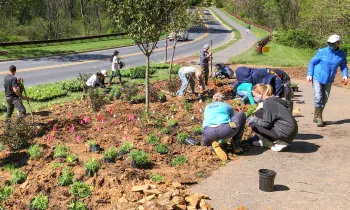 Neighbors working in a community garden