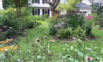 Photograph showing wildlife-friendly plantings in Janet and Jeff Crouch’s yard