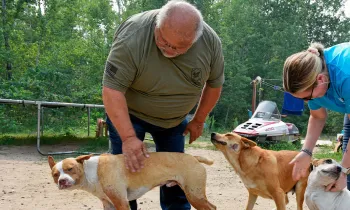 Rick Haaland of Leech Lake Band of Ojibwe Pets for Life and Rachel Thompson from Pets for Life pet three dogs outside a home