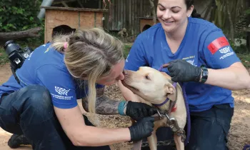 Two women rescue chained dog