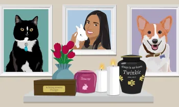 Illustration of pet photos on the wall, a floating shelf with pet urns, flowers, and candles.