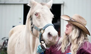 Animal transporter Dee Owens leads a blind mare who was found pacing in her pen.