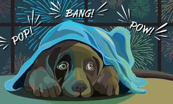 Illustration of a dog hiding under a blanket while fireworks go off out the window behind him.