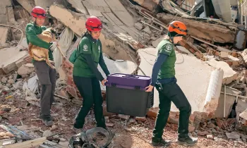 Disaster responders carry a stranded mother dog from the rubble.