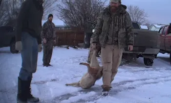 Oregon wildlife killing contest