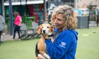 Woman holding and petting a beagle