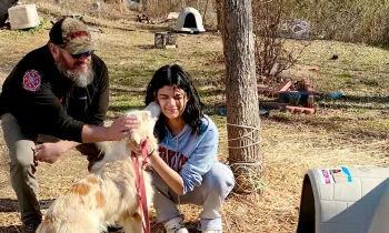 Dog shelters delivered in Tennessee